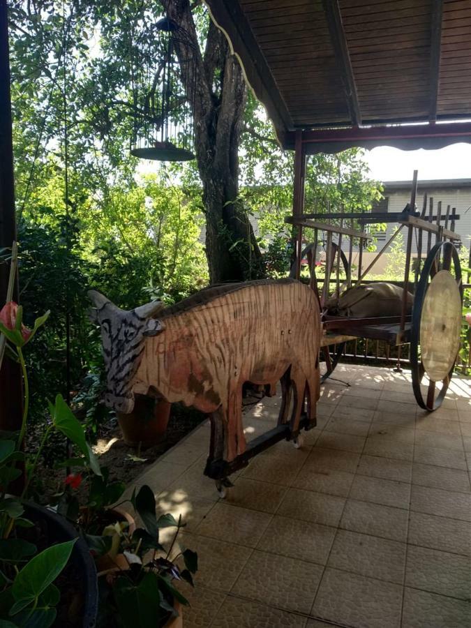 Villa Ti Kaz en Bois à Sainte-Rose Extérieur photo